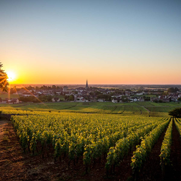 Bourgogne Terre d'exception