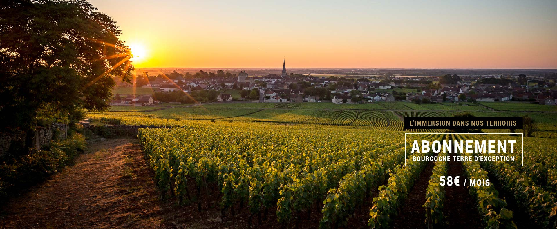 Box vin - Bourgogne Terre d'exception