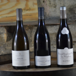 SUR LA ROUTE DES GRANDS CRUS - Sélection septembre 2025