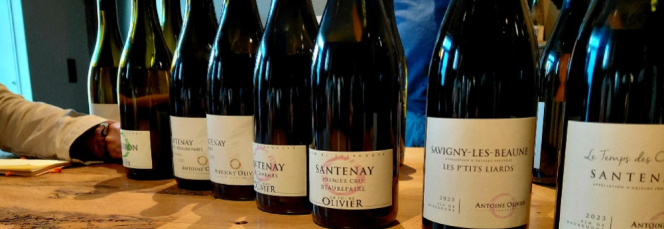 A la découverte du domaine Antoine Olivier 