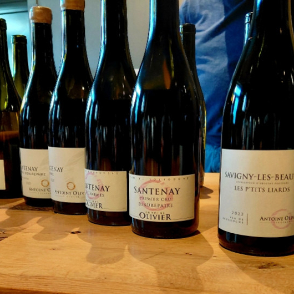 A la découverte du domaine Antoine Olivier 