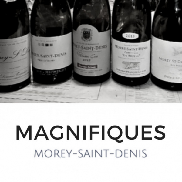 Soirée du club : Les magnifiques Vins de Morey-Saint-Denis